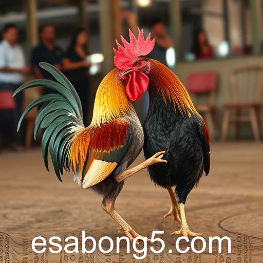 The Rise of E-Sabong: A New Era for Online Gaming